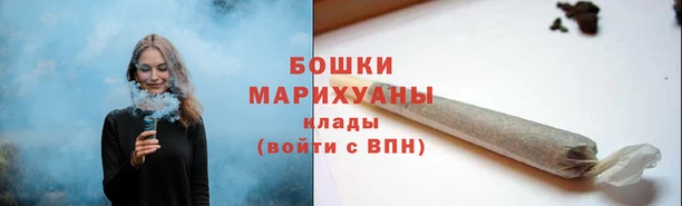 Альфа ПВП Сосновоборск