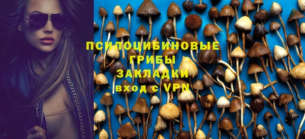 spice Сосновый Бор