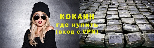 молекула духа Дмитровск