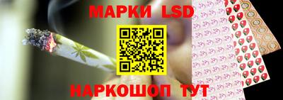 сатива Моздок