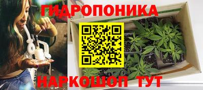 гашишное масло Можга