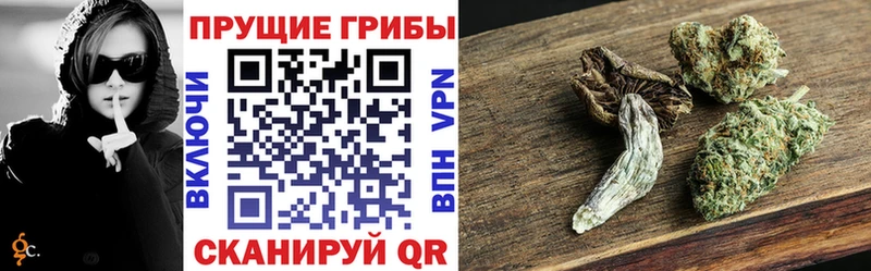 Галлюциногенные грибы MAGIC MUSHROOMS  Северобайкальск 