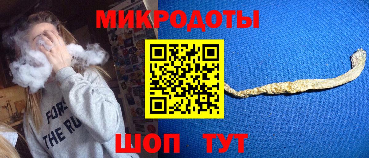 Псилоцибиновые грибы ЛСД  купить  цена  Северобайкальск  Вход с VPN  Псилоцибиновые грибы Psilocybine cubensis 