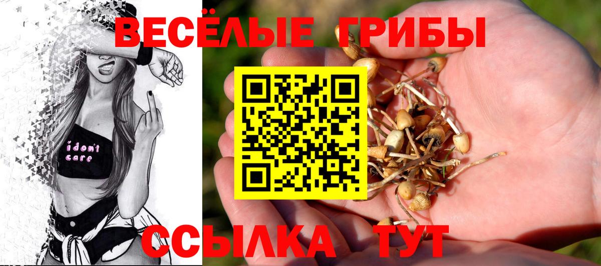 Псилоцибиновые грибы прущие грибы Северобайкальск
