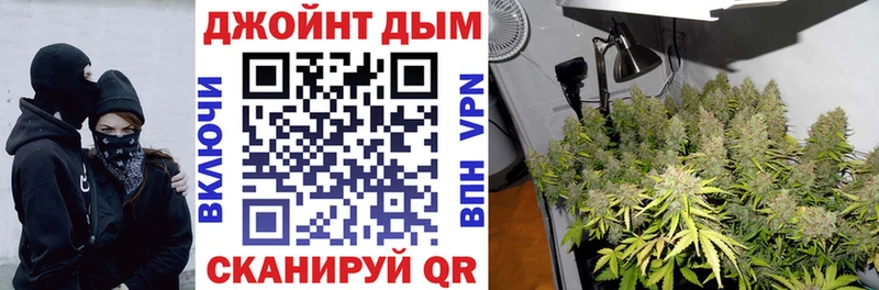МАРИХУАНА сатива Северобайкальск